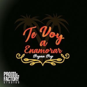 Bryan Bry - Te Voy a Enamorar.jpg